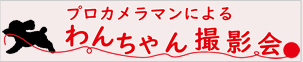 わんちゃん撮影会画像